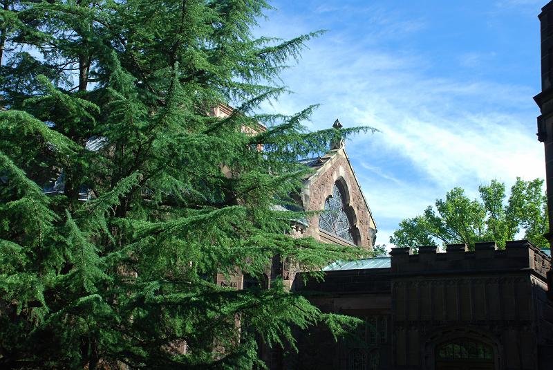 DSC_0300.JPG