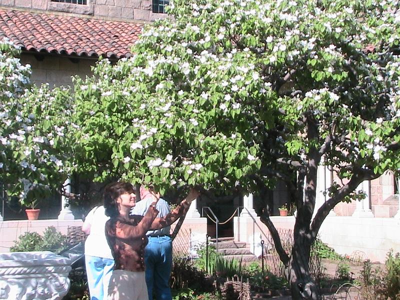 IMG_1119.jpg - The Cloisters