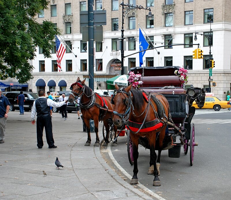 NY16.jpg