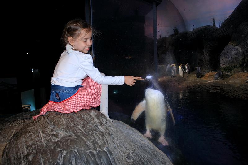 belg7473.JPG - Antwerp Zoo