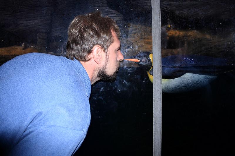 belg7474.JPG - Antwerp Zoo