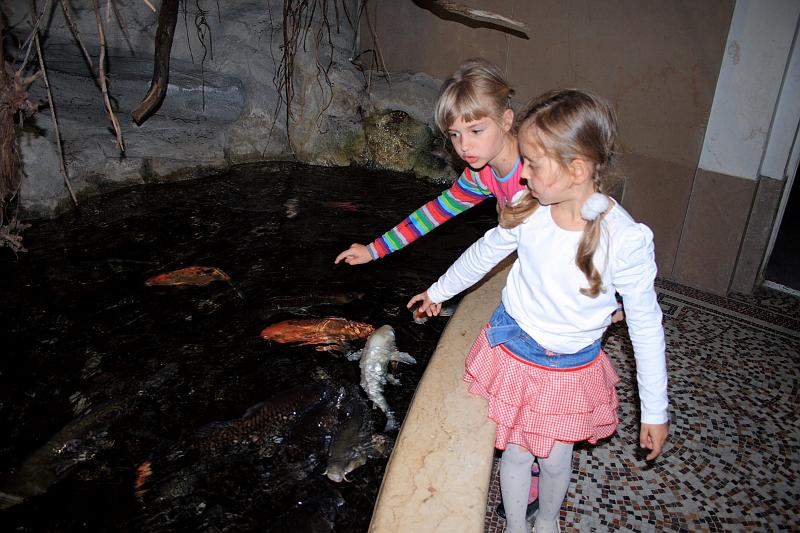 belg7475.JPG - Antwerp Zoo