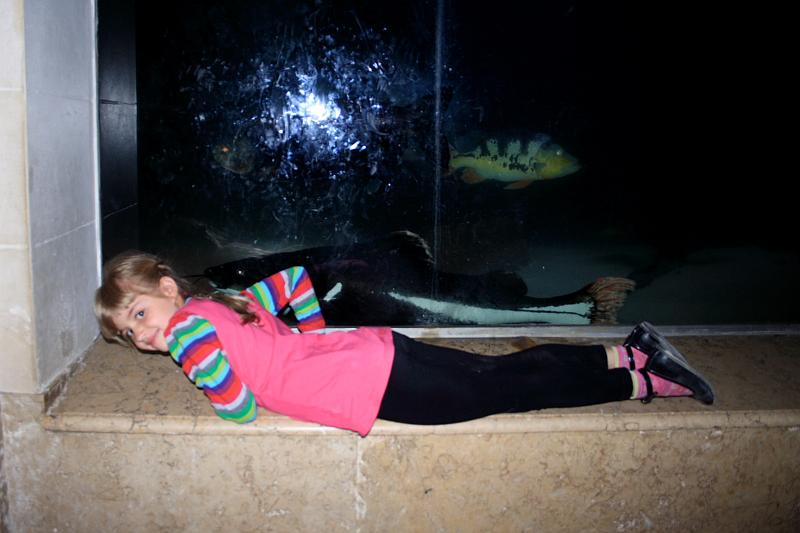 belg7476.JPG - Antwerp Zoo