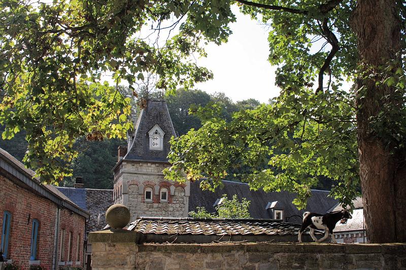 belg7569.JPG - A village of Durbuy