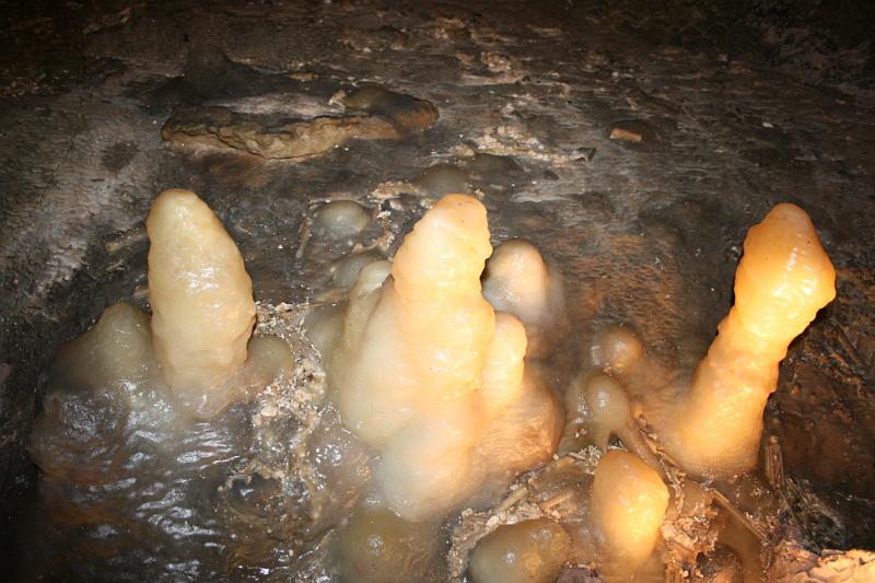 IMG_0811.JPG - Fantasy Cave