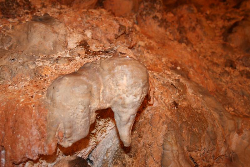 IMG_0840.JPG - Fantasy Cave - duck's head