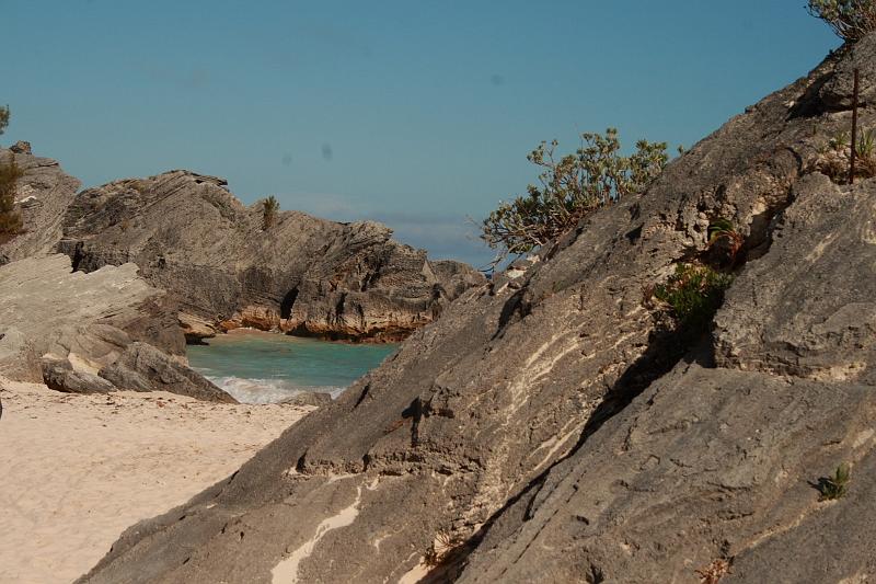 bermuda0006.JPG - Pink beaches along walk way from Warwick Long Bay to Horseshoe Bay