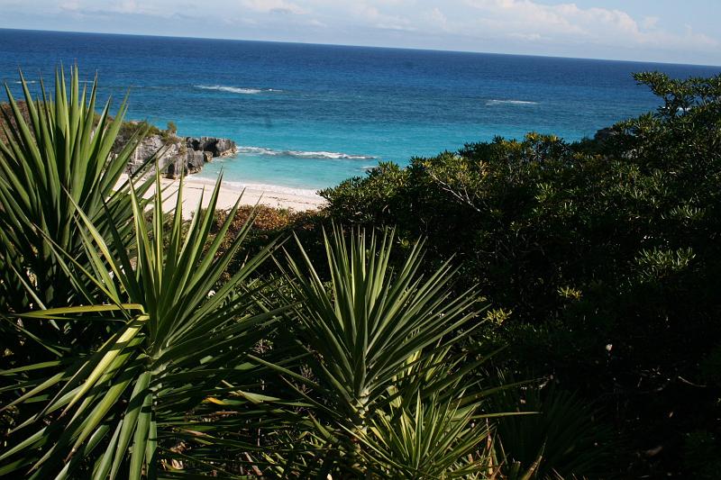 bermuda0026.JPG - Pink beaches along walk way from Warwick Long Bay to Horseshoe Bay
