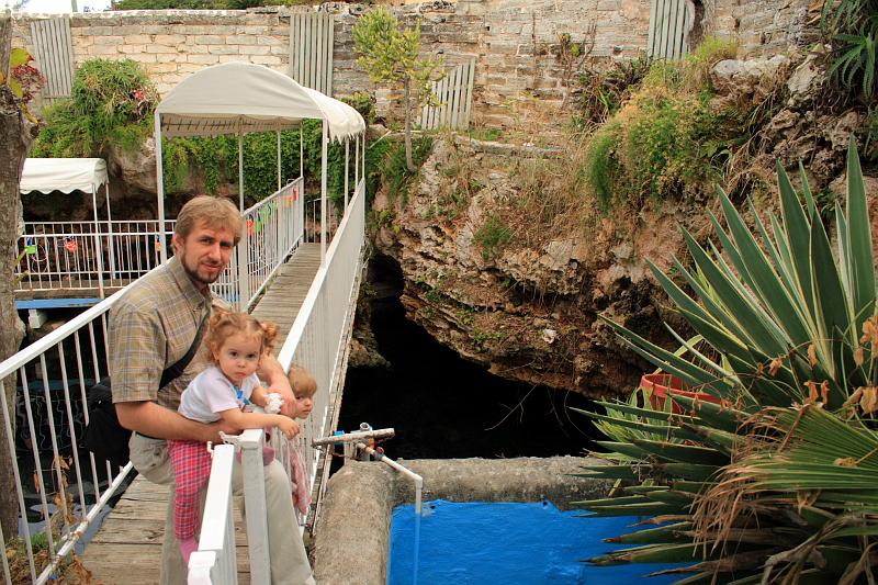 bermuda0033.JPG - Devil's Hole Aquarium