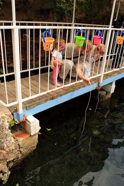 bermuda0035.JPG - Devil's Hole Aquarium