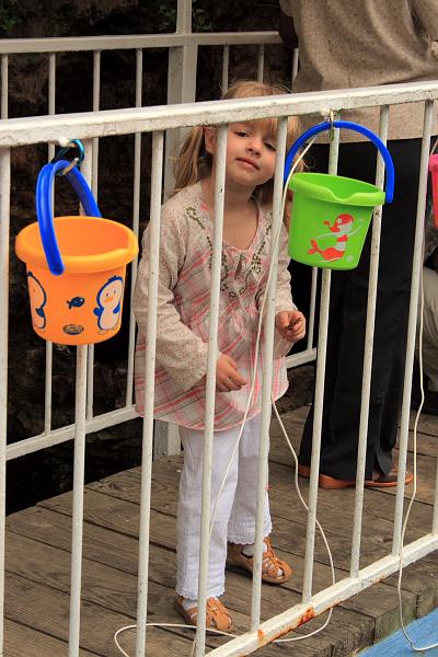 bermuda0038.JPG - Devil's Hole Aquarium