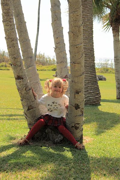 bermuda00433.JPG - Palm Grove Park