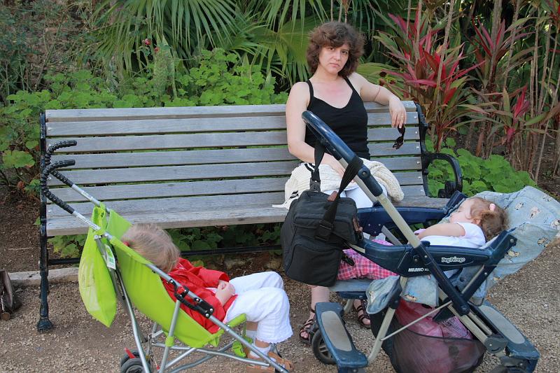 bermuda0093.JPG - Somers Garden