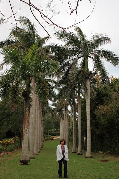 bermuda0127.JPG - Park near Crystal and Fantasy Caves