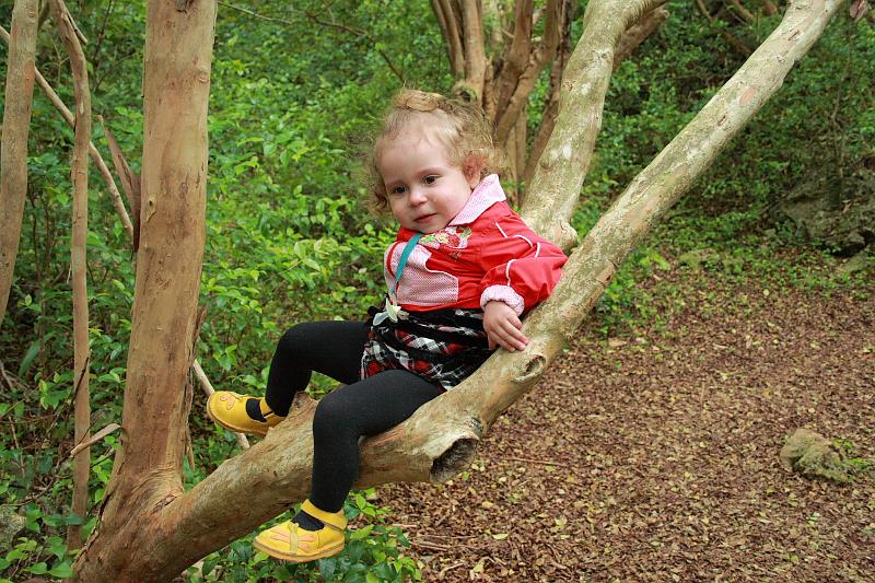 bermuda0194.JPG - Blue Hole Park