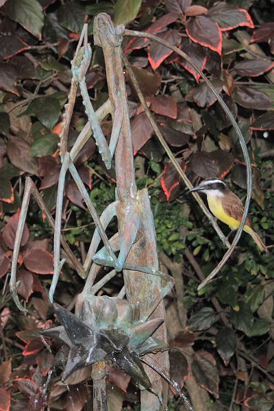 bermuda0300.JPG - City park, Hamilton