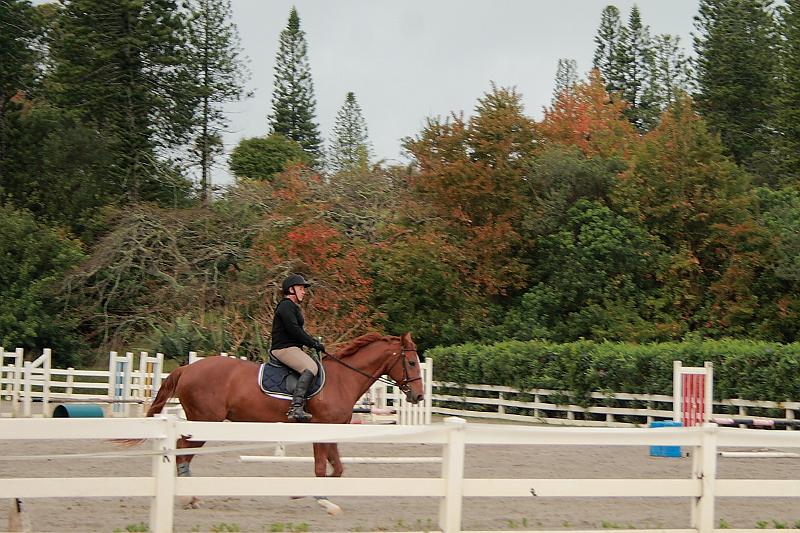 bermuda0604.JPG - Horseback riding