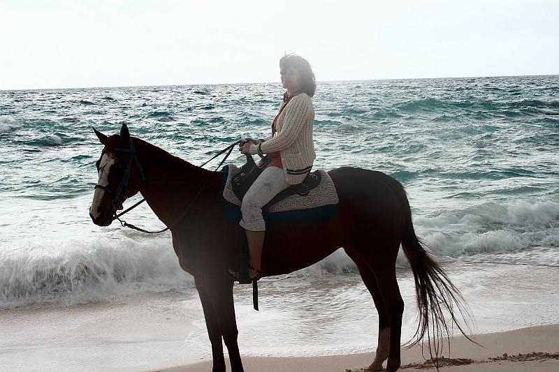 bermuda0610.JPG - Horseback riding