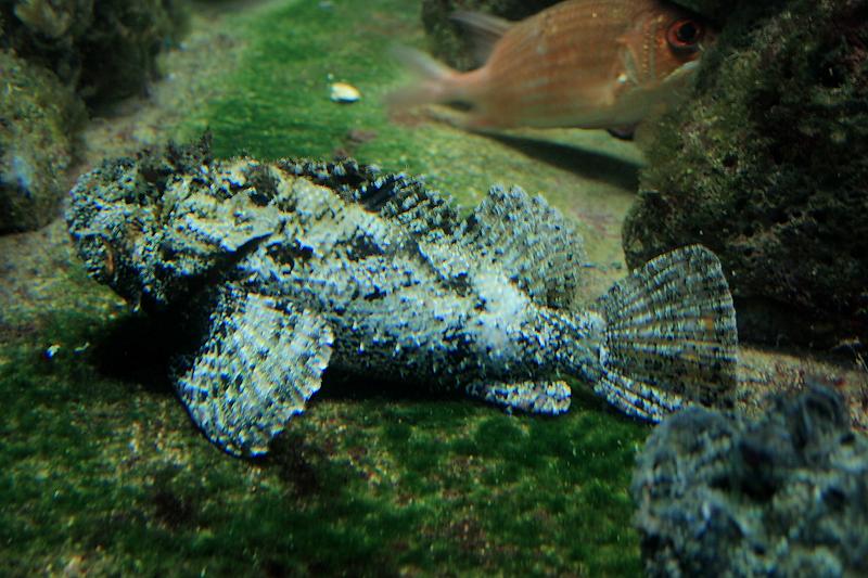 bermuda0660.JPG - Bermuda Aquarium and Zoo