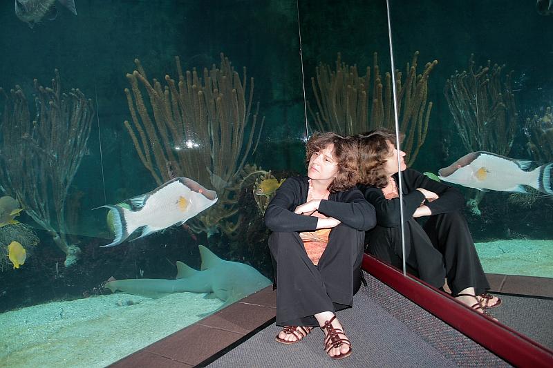 bermuda0672.JPG - Bermuda Aquarium and Zoo