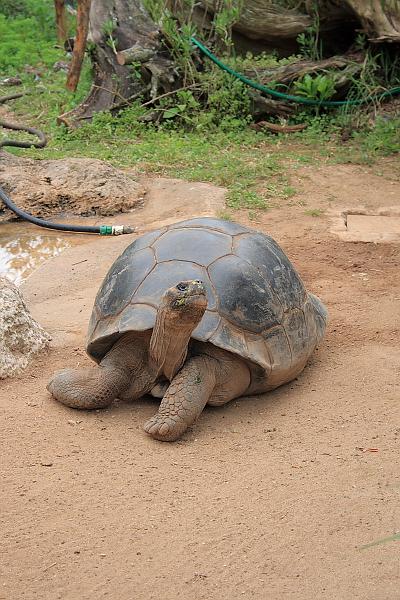 bermuda0702.JPG - Bermuda Aquarium and Zoo