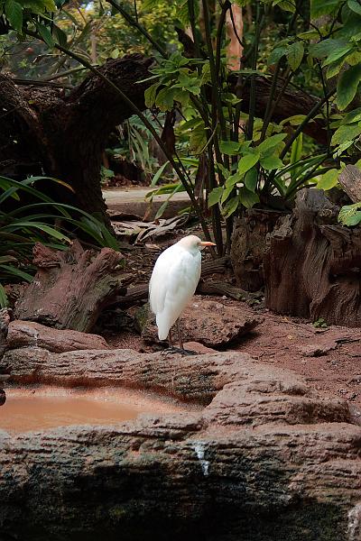 bermuda0706.JPG - Bermuda Aquarium and Zoo