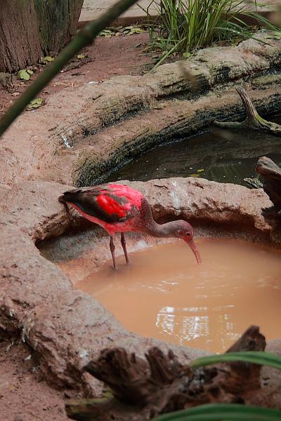 bermuda0708.JPG - Bermuda Aquarium and Zoo