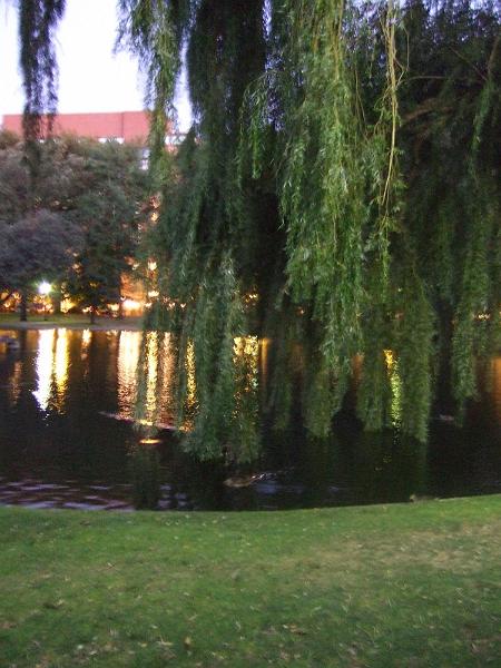 DSCF0597.jpg - Boston Common