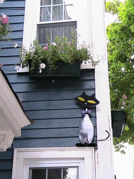 IMG_2369.jpg - Salem