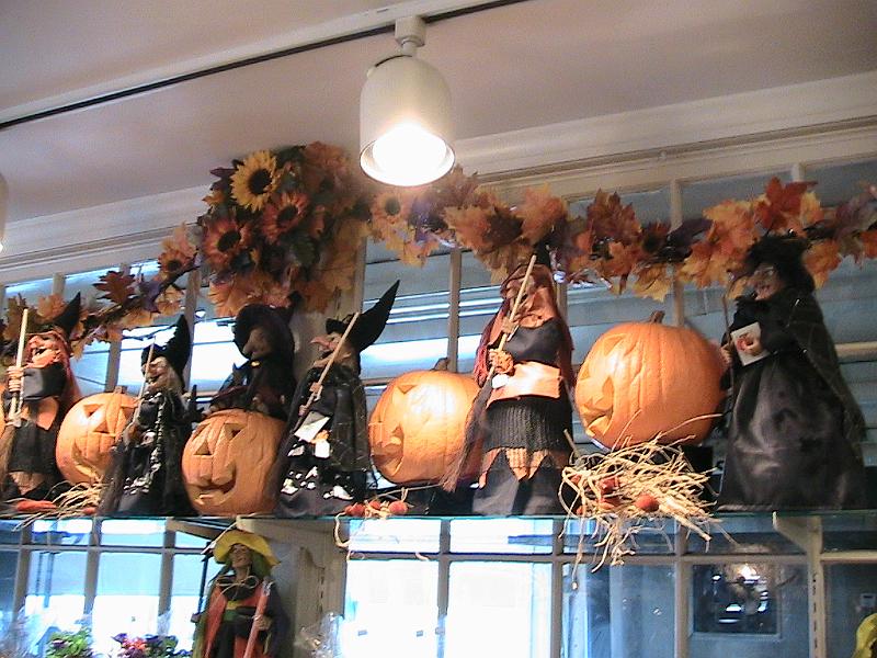 IMG_2398.jpg - Salem