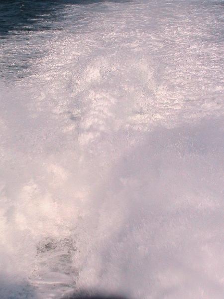 IMG_2709.jpg - Boston Harbor, Whale Watching