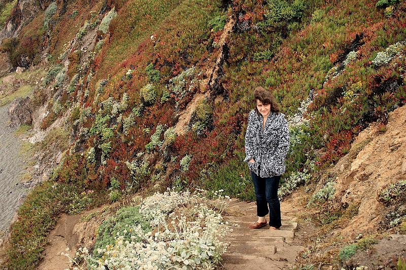 cal3716.JPG - Pacific Coast