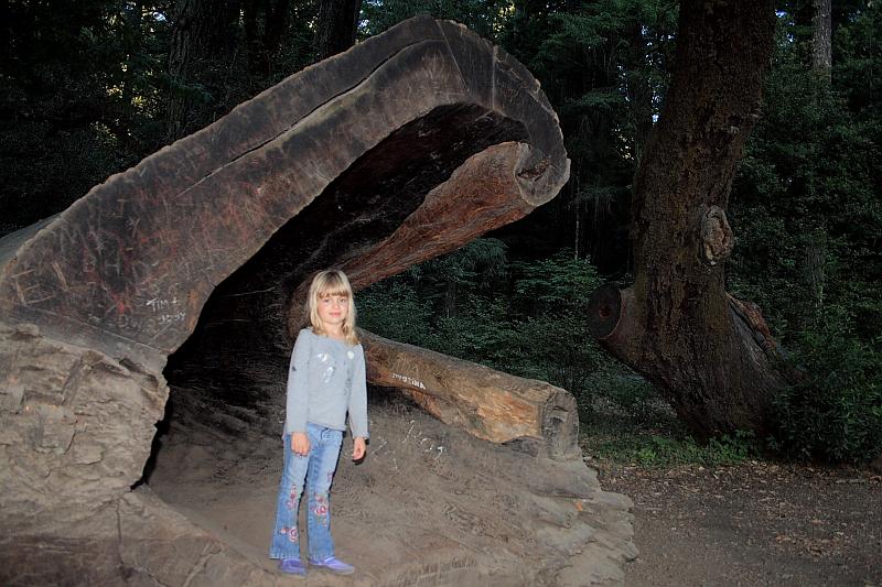 cal3727.JPG - Near Chantelier tree