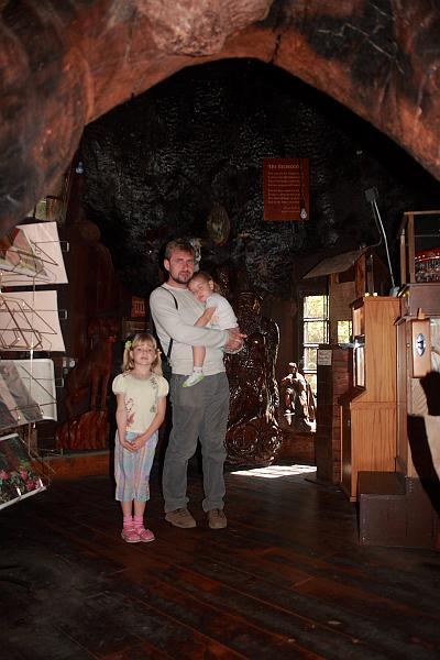 cal3728.JPG - One-room tree house