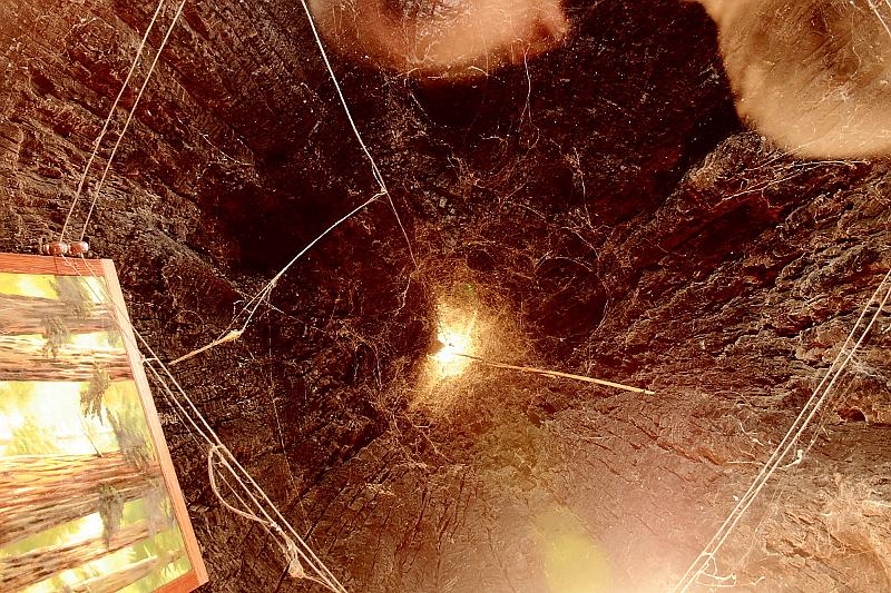 cal3730.JPG - One-room tree house