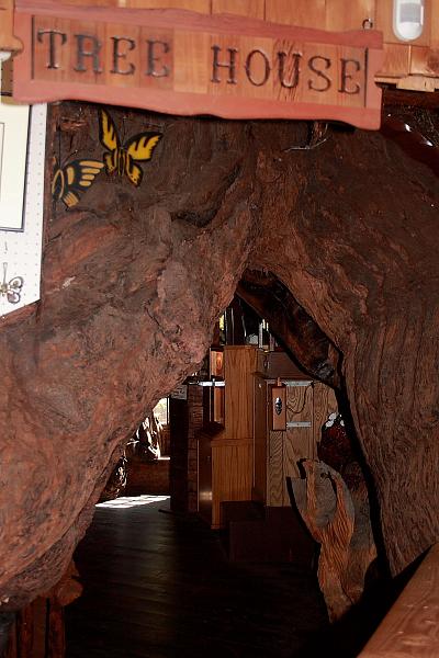 cal3732.JPG - One-room tree house