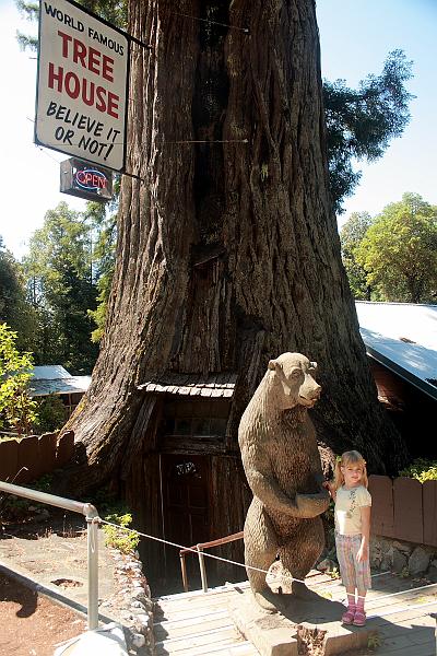 cal3733.JPG - One-room tree house