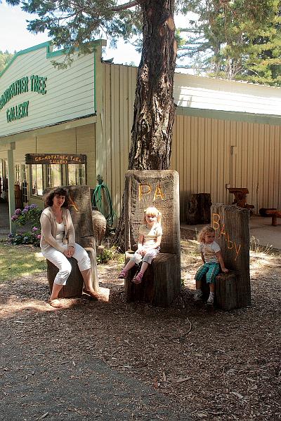 cal3744.JPG - Near Grandfather tree