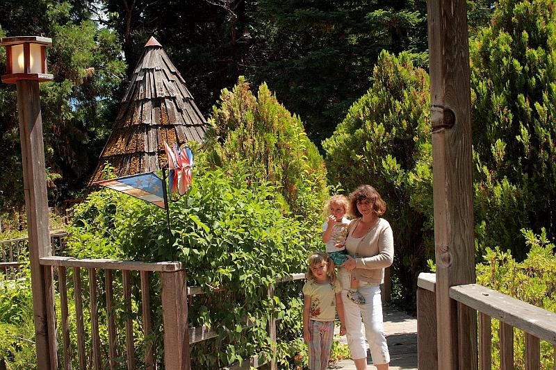 cal3746.JPG - In the garden near Grandfather tree