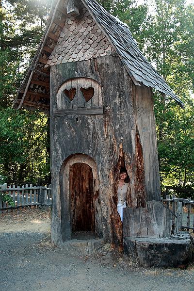 cal3761.JPG - Near Shrine Drive-Thru Tree in Myers Flat