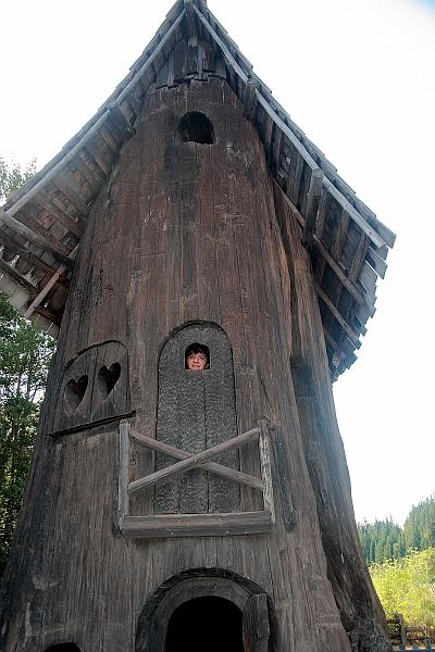 cal3763.JPG - Near Shrine Drive-Thru Tree in Myers Flat