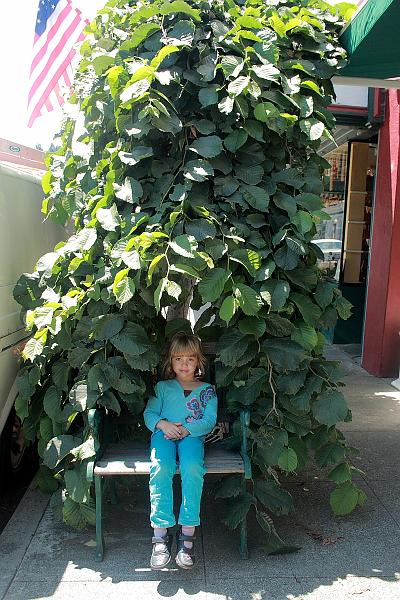 cal3781.JPG - Ferndale