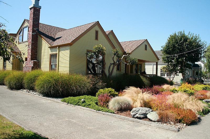 cal3787.JPG - Ferndale