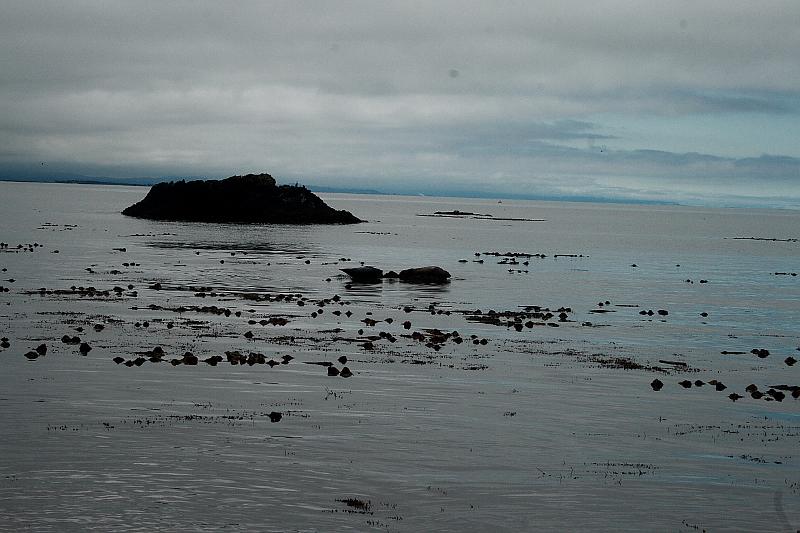 cal3792.JPG - Beach in Trinidad