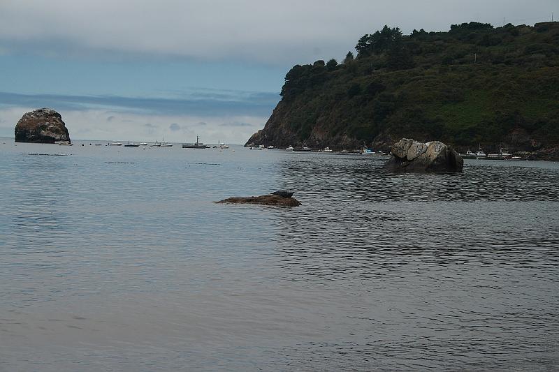 cal3794.JPG - Beach in Trinidad
