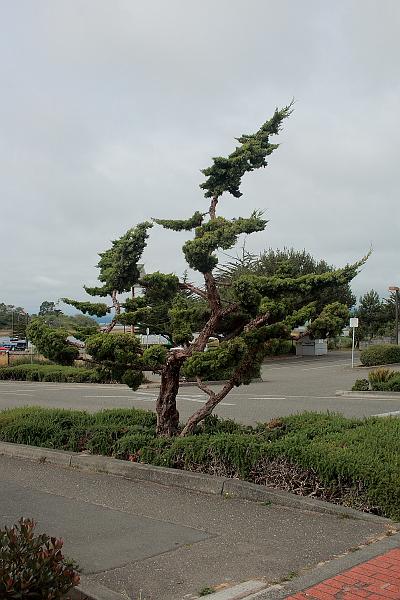 cal3800.JPG - Eureca