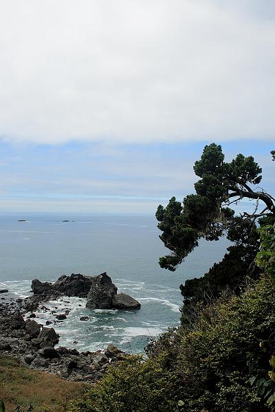 cal3813.JPG - Patrick `s point State park