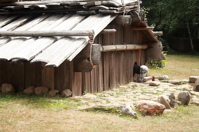 cal3815.JPG - Indian Village in the Patrick `s point State park