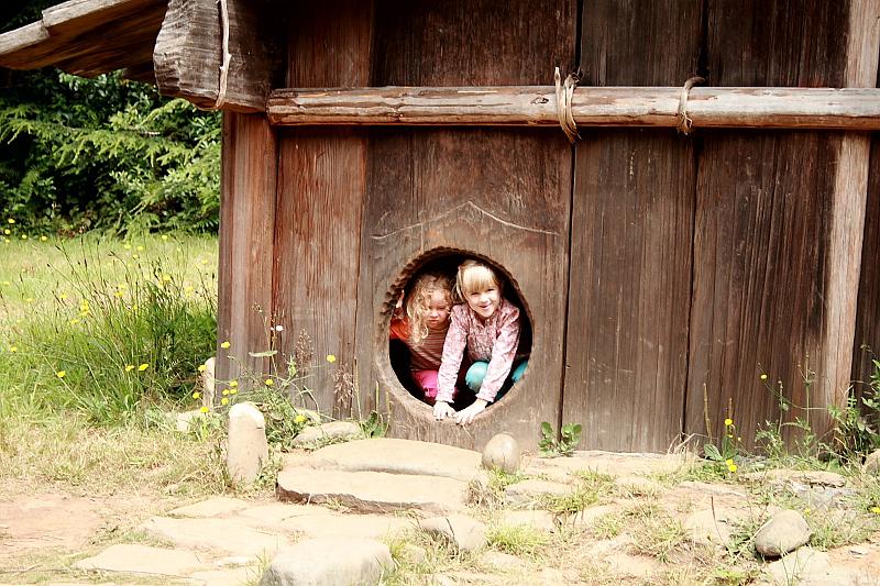 cal3817.JPG - Indian Village in the Patrick `s point State park