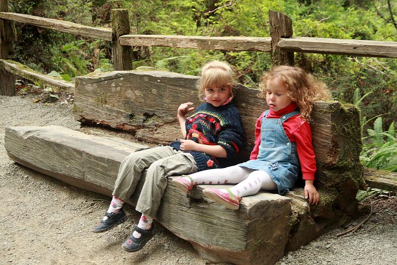 cal3865.JPG - "Trees of Mystery"